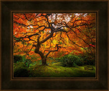 Load image into Gallery viewer, Tree of Perspective
