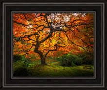 Load image into Gallery viewer, Tree of Perspective
