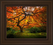 Load image into Gallery viewer, Tree of Perspective
