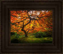 Load image into Gallery viewer, Tree of Perspective
