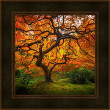 Load image into Gallery viewer, Tree of Perspective

