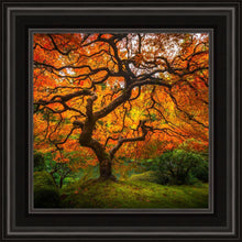 Load image into Gallery viewer, Tree of Perspective
