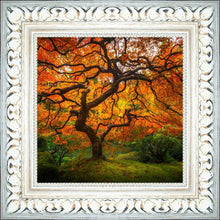Load image into Gallery viewer, Tree of Perspective
