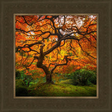 Load image into Gallery viewer, Tree of Perspective
