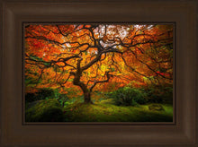 Load image into Gallery viewer, Tree of Perspective
