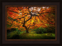 Load image into Gallery viewer, Tree of Perspective
