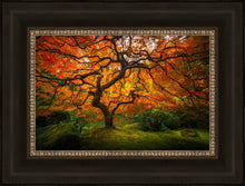Load image into Gallery viewer, Tree of Perspective
