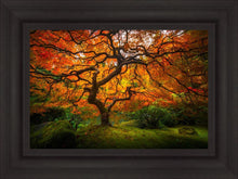 Load image into Gallery viewer, Tree of Perspective
