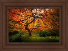 Load image into Gallery viewer, Tree of Perspective
