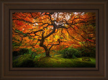 Load image into Gallery viewer, Tree of Perspective
