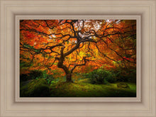 Load image into Gallery viewer, Tree of Perspective

