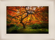Load image into Gallery viewer, Tree of Perspective
