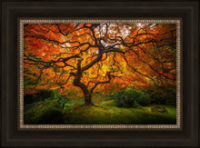 Load image into Gallery viewer, Tree of Perspective
