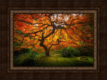 Load image into Gallery viewer, Tree of Perspective

