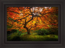Load image into Gallery viewer, Tree of Perspective
