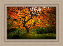 Load image into Gallery viewer, Tree of Perspective
