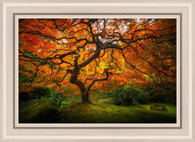 Load image into Gallery viewer, Tree of Perspective
