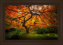 Load image into Gallery viewer, Tree of Perspective
