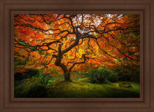 Load image into Gallery viewer, Tree of Perspective
