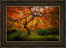 Load image into Gallery viewer, Tree of Perspective
