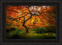Load image into Gallery viewer, Tree of Perspective
