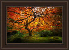 Load image into Gallery viewer, Tree of Perspective
