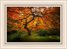 Load image into Gallery viewer, Tree of Perspective
