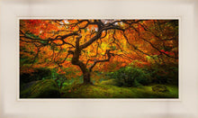 Load image into Gallery viewer, Tree of Perspective
