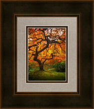 Load image into Gallery viewer, Tree of Perspective Vertical
