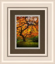 Load image into Gallery viewer, Tree of Perspective Vertical
