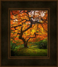 Load image into Gallery viewer, Tree of Perspective Vertical
