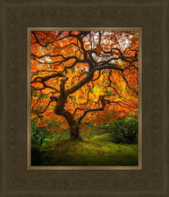 Load image into Gallery viewer, Tree of Perspective Vertical

