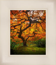 Load image into Gallery viewer, Tree of Perspective Vertical
