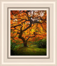 Load image into Gallery viewer, Tree of Perspective Vertical
