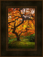 Load image into Gallery viewer, Tree of Perspective Vertical
