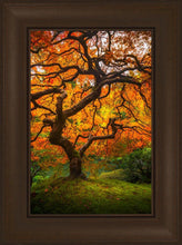 Load image into Gallery viewer, Tree of Perspective Vertical
