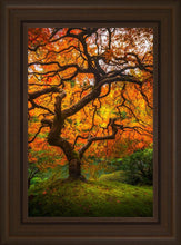 Load image into Gallery viewer, Tree of Perspective Vertical
