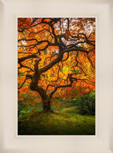 Load image into Gallery viewer, Tree of Perspective Vertical
