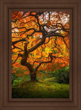 Load image into Gallery viewer, Tree of Perspective Vertical
