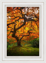 Load image into Gallery viewer, Tree of Perspective Vertical
