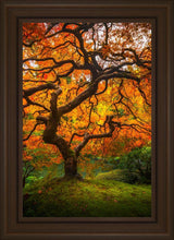 Load image into Gallery viewer, Tree of Perspective Vertical
