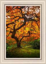 Load image into Gallery viewer, Tree of Perspective Vertical
