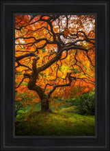 Load image into Gallery viewer, Tree of Perspective Vertical

