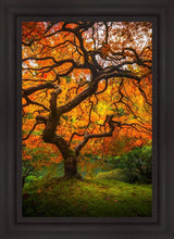 Load image into Gallery viewer, Tree of Perspective Vertical
