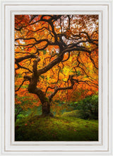 Load image into Gallery viewer, Tree of Perspective Vertical
