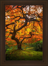 Load image into Gallery viewer, Tree of Perspective Vertical
