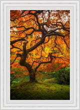 Load image into Gallery viewer, Tree of Perspective Vertical
