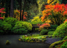 Load image into Gallery viewer, Garden Bridge
