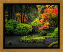 Load image into Gallery viewer, Garden Bridge
