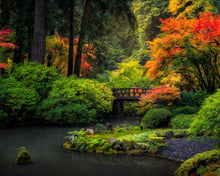 Load image into Gallery viewer, Garden Bridge
